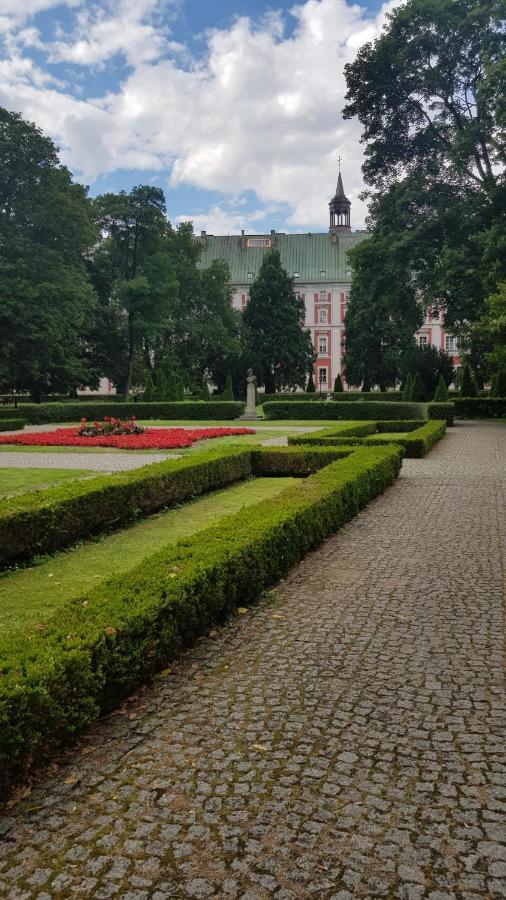 Chopin Park Lux Apartment, Self Check-In 24H, Free Parking, Air-Conditioning Познан Екстериор снимка